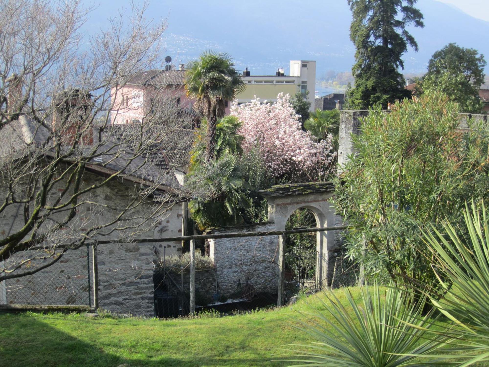 Muralto-Locarno: Miramonti Apt. 8 Экстерьер фото